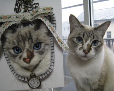 ティアラちゃん